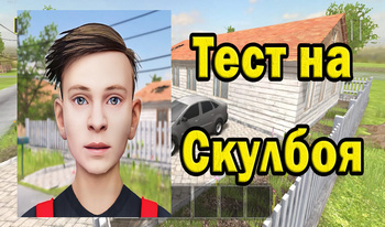 Тест на Скулбоя