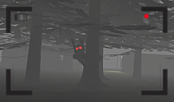 Cursed Forest: Escape