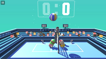 Volleyball 3D