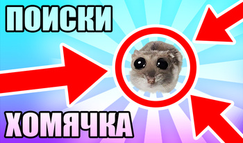 Поиски Хомячка