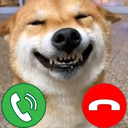 Call the Meme Dogs