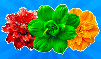 Merge Flowers and Berries 2048!