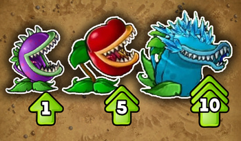 Chomper Evolution