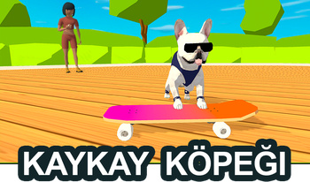 Kaykay köpeği