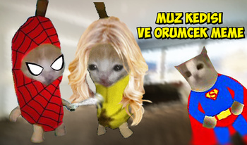 Muz kedisi ve Örümcek meme