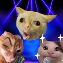 Los Gatitos Cantan Miau Miau