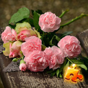 Flowers Jigsaw Puzzle