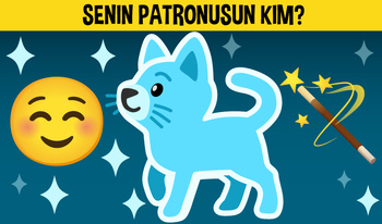 Senin Patronusun kim?