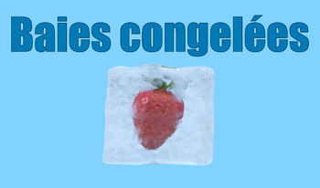 Baies congelées