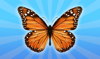 Butterflies: 2048!