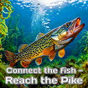 Connect the fish - Reach the Pike