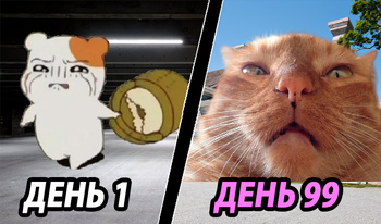 Кликай милых мемных котиков!