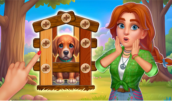 Farm Town Wood Nuts Puzzle