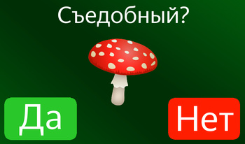 Тест на знание грибов