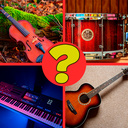 Quiz: musical instrument