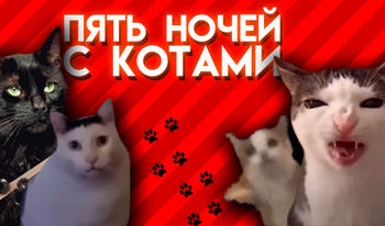 Пять ночей с Котами