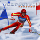 Simulador de slalom