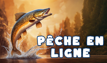 Pêche en ligne