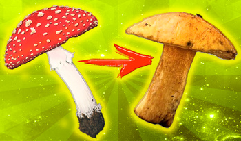 Juicy Merge: 2048 Mushroom Drop Game