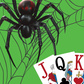 Spider and Spiderette solitaire