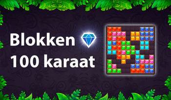 Blokken 100 karaat