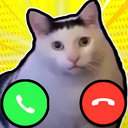 Meme cats: Tamagochi