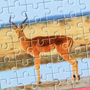 Solve the puzzle - nature and animals