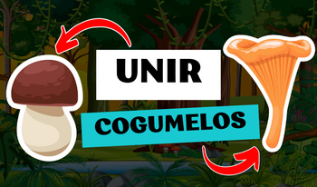 Unir Cogumelos