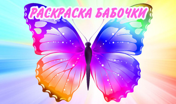 Раскраска Бабочки