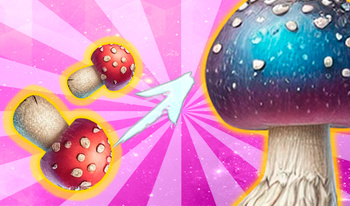 Juicy Merge: 2048 Mushroom Drop Game