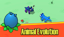 Animal Evolution