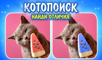 Котопоиск Найди отличия