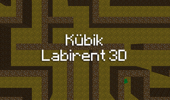 Kübik Labirent 3D