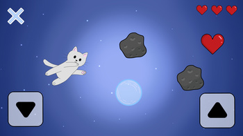 Cat in space