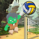 Funny Volleyball