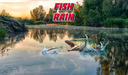 Fish rain