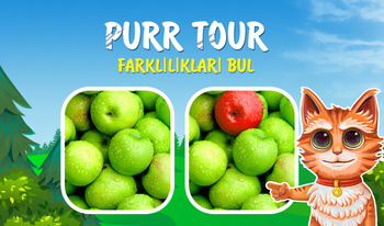 Purr Tour Farklılıkları bul