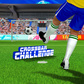 Crossbar Challenge